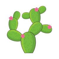 cactus with flower illustration vector