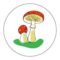 Hand drawn vector color illustration in cartoon style. Linear drawing of colored fly mushrooms in a circle on a white background.