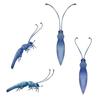 Hand drawn watercolor illustration butterfly bug wasp ant insect moth. Realistic body with antennae, front side view. Set of objects isolated on white background. Design print, shop, poster, biology