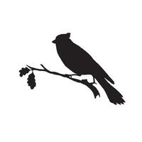 bird silhouette isolated on white. Decorative bird sitting on twig of tree. vector