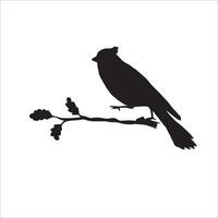 bird silhouette isolated on white. Decorative bird sitting on twig of tree. vector