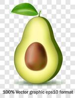 Realistic whole avocado, half with leaves in swirl motion. Juicy fruits for natural product vector design. Cut ripe avocado with stone for healthy organic package, restaurant menu design