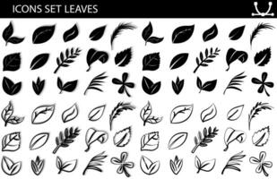 A set of leaves on a white background, for logos, designs, for the symbolism of the green planet vector