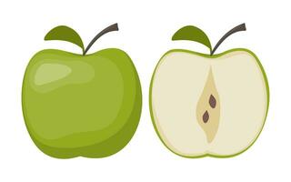 Apple fruit. Apple slice and whole fruit. Whole and half of green apple fruit with green leave. Vector illustration.