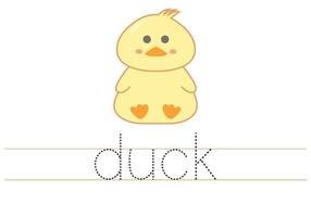 Trace word duck. English worksheet for kids. Cartoon colorful duck. vector