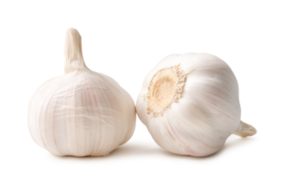 Front view of garlic bulbs in stack isolated with clipping path and shadow in png file format