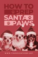 Preparation Santa Paws Pinterest Graphic template