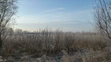 Cold autumn morning. Frosty autumn morning. Frost in the autumn landscape photo