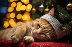 ai generado un gatito en un de punto sombrero duerme cerca un Navidad árbol en contra el antecedentes de guirnaldas foto