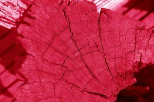 wood texture or background viva magenta color of the year 2023 photo