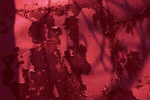 red abstract texture background,  viva magenta color of the year 2023. photo