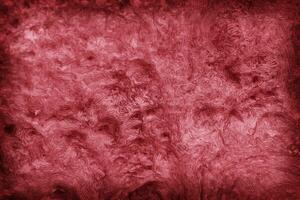 wood roll pattern texture or background red color and gradient shodow, viva magenta color of the year 2023. photo