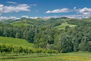 viñedo paisaje en vino región llamado Estiria Toscana, Estiria, Austria foto