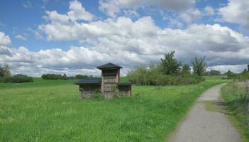 insecto hotel en Monheimer rheinbogen paisaje parque, monheim a.m Rin, foto