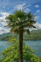 Landscape at Lake Lugano,Ticino Canton,Switzerland photo