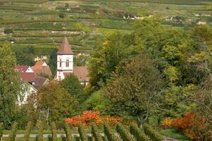 idyllic Wine Village of Achkarren,Kaiserstuhl wine region,Black Forest,Germany photo