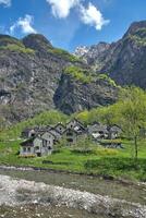 tradicional pueblo de se elevó a en val bavona, tesino cantón, suiza foto