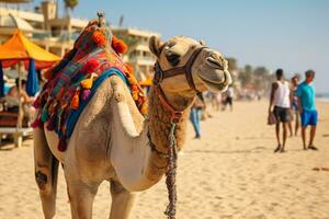 AI generated Camel on a leash for tourists in egypt generative AI photo