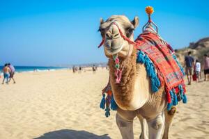 AI generated Camel on a leash for tourists in egypt generative AI photo