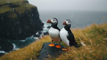 AI generated Two super cute puffins bird couple in love. AI generated image photo