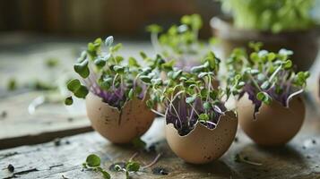 AI generated Microgreens in the eggshells, spring and easter concept photo