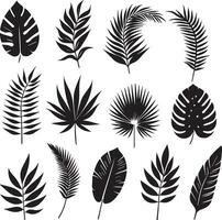 minimal tropical leave vector silhouette, black color silhouette, white background 29