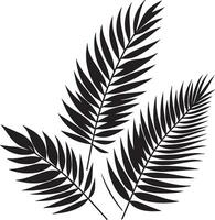 minimal tropical leave vector silhouette, black color silhouette, white background 27