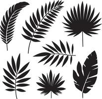 minimal tropical leave vector silhouette, black color silhouette, white background 25
