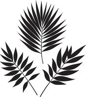 minimal tropical leave vector silhouette, black color silhouette, white background 7