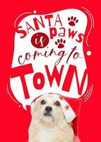 Santa Paws is Coming to Town Greeting Card template