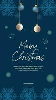 Blue Snowflakes Merry Christmas Greeting Instagram Story template
