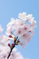ai generado Cereza florecer en contra claro azul cielo.ai generado. foto