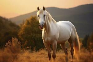 ai generado blanco caballo o yegua en el montañas a puesta de sol. ai generado foto