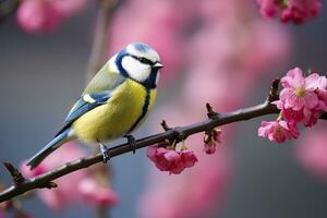 ai generado un bluetit pájaro descansando en el rama de un árbol. ai generado. foto