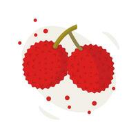 Tropical fruit - pair of lychee - icon set isolated on white background. Two lychees. Flat vector illustration.