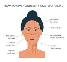 Infographic of gua sha scraper facial yoga. Massage direction for jade roller. Acupuncture anti-aging traditional chinese medicine self care method. Vector flat illustration on white background..