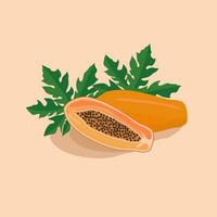 Tropical fruit papaya, whole and half cut with seeds and green leaves. Exotic asian tropical antioxidant diet food. Vector flat illustration.