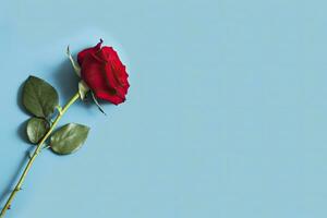 AI generated Red rose flower on blue background. Romantic Valentine's holiday concept. AI Generated photo