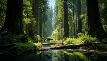 ai generado un camino mediante el bosque con alto arboles foto