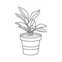 Hand drawn Kids drawing cartoon Vector illustration potted houseplant icon Isolated on White