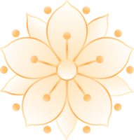 Novo ano Primavera flor png