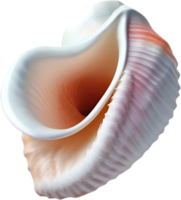 AI generated an image of a colorful seashell. Ai-Generated. png