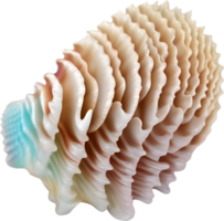 AI generated an image of a colorful seashell. Ai-Generated. png