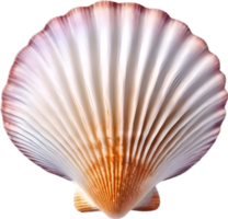 AI generated an image of a colorful seashell. Ai-Generated. png