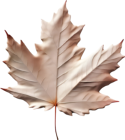 AI generated an image of a colorful maple leaf. Ai-Generated. png