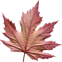 AI generated an image of a colorful maple leaf. Ai-Generated. png