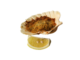 coquille au Gratin avec citron tranche- png