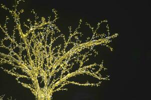 New Year, Christmas decoration of a tree decorated with luminous garlands. Festive winter city illumination. photo