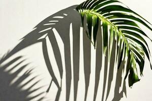 AI generated Palm green leaf with gray sharp shadows against a white wall. Beautiful decorative tropical background. photo