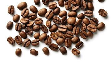 Coffee beans isolated on white background. Close-up. photo
